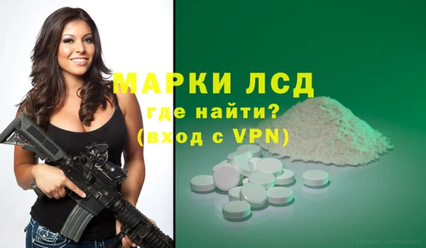 гашик Михайловск