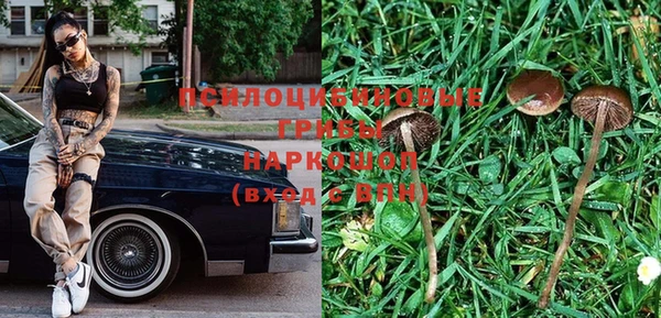 PSILOCYBIN Верхний Тагил