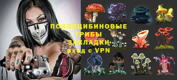 стаф Верея