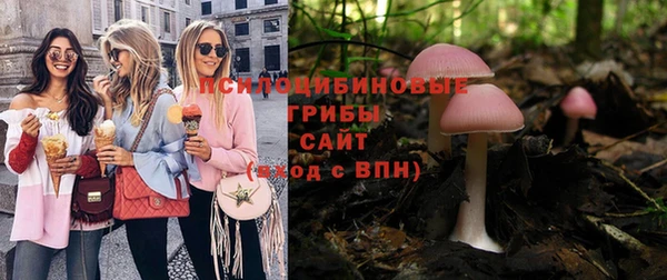 PSILOCYBIN Верхний Тагил