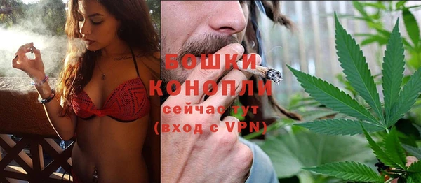 стаф Верея