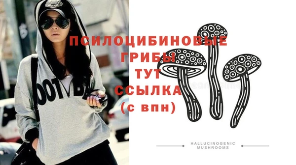 крисы Ессентукская