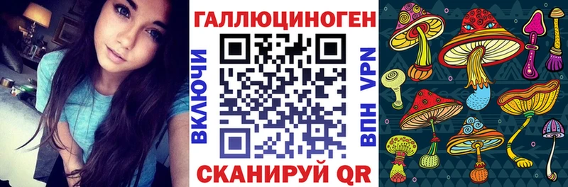 Галлюциногенные грибы Psilocybe  Весьегонск 