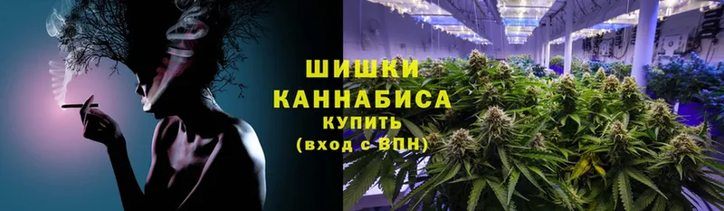 Каннабис Amnesia  продажа наркотиков  Весьегонск 